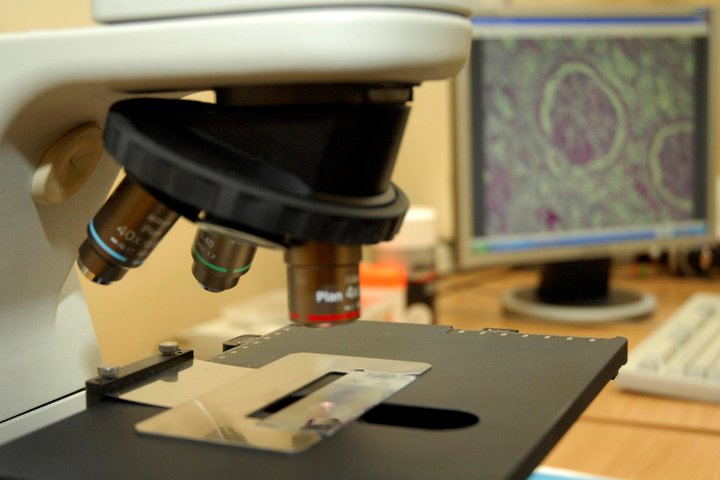 Histologijos laboratorija. Laboratorinė įranga