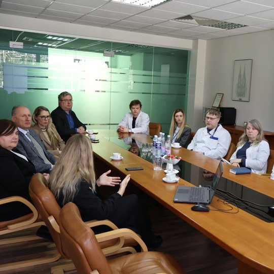 „Europos Horizonto“ programos 3-io klasterio „Civilinė visuomenės sauga“ pristatymo akimirka_2025-02-19